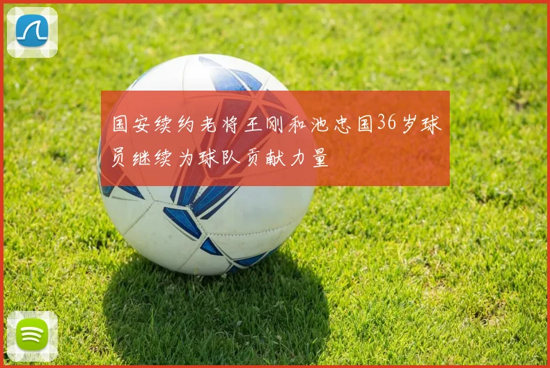 国安续约老将王刚和池忠国36岁球员继续为球队贡献力量